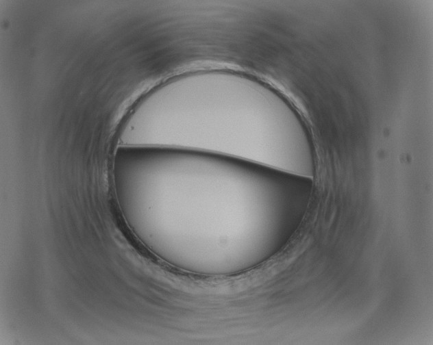 X0000076380015200610161126