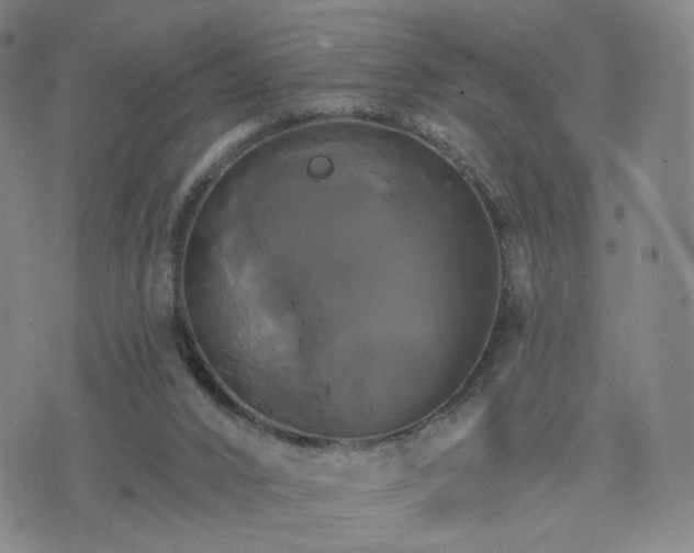 X0000076380016200610161126