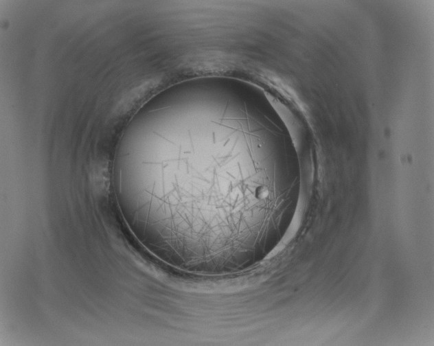 X0000076380017200610161126