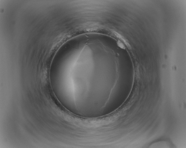 X0000076380018200610161126