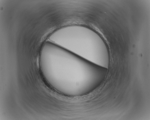 X0000076380019200610161126