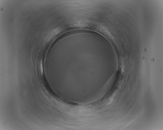 X0000076380020200610161126