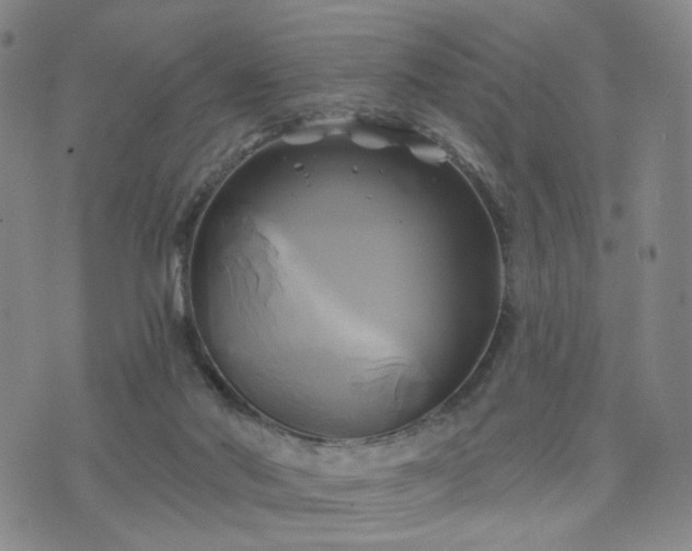 X0000076380022200610161126