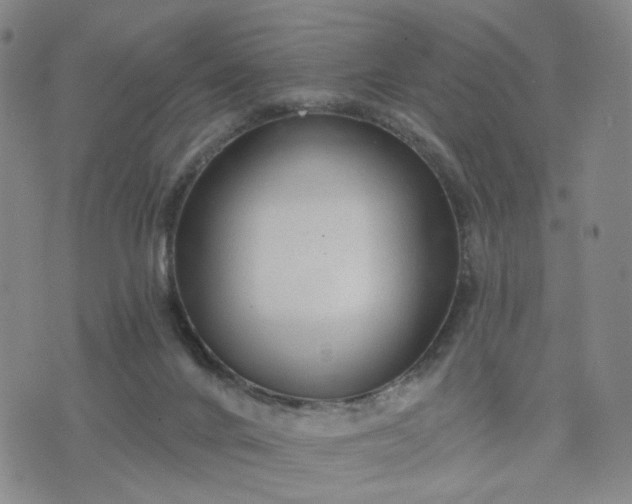 X0000076380024200610161126