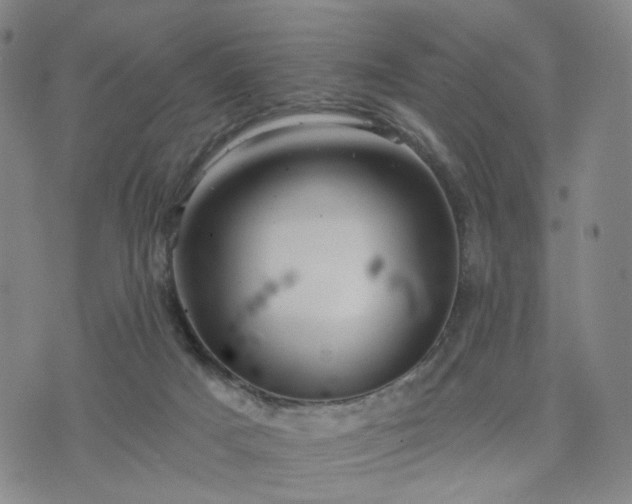 X0000076380025200610161126