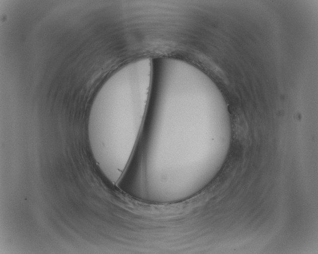 X0000076380027200610161126