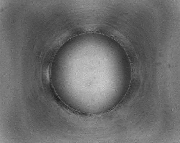 X0000076380028200610161126