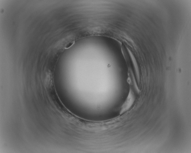 X0000076380029200610161126