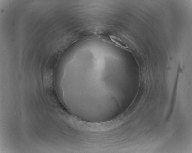 X0000076380030200610161126