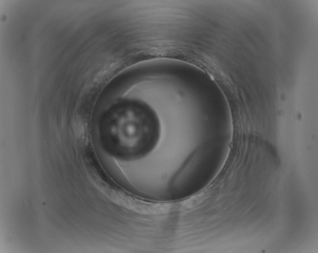 X0000076380031200610161126