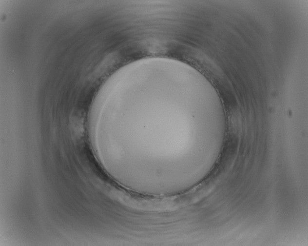 X0000076380032200610161126