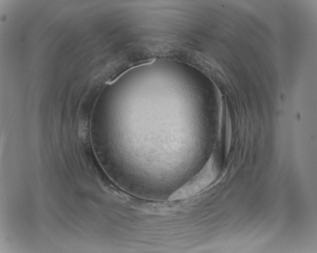 X0000076380033200610161126