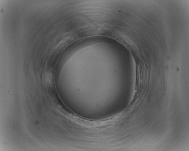 X0000076380035200610161126