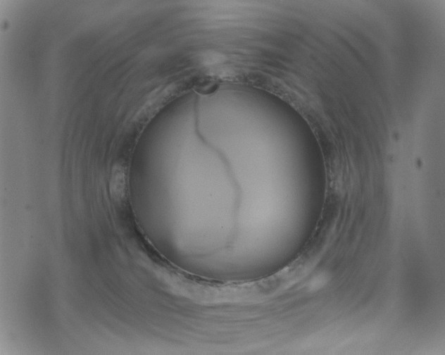 X0000076380036200610161126