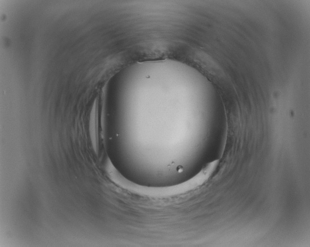 X0000076380037200610161126