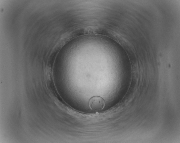 X0000076380038200610161126