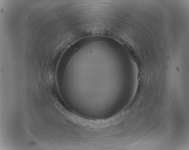 X0000076380039200610161126