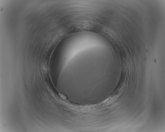 X0000076380040200610161126