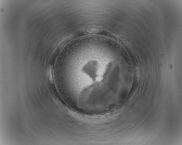 X0000076380042200610161126