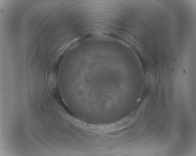 X0000076380043200610161126