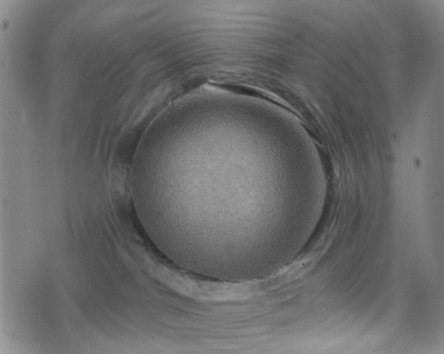 X0000076380044200610161126