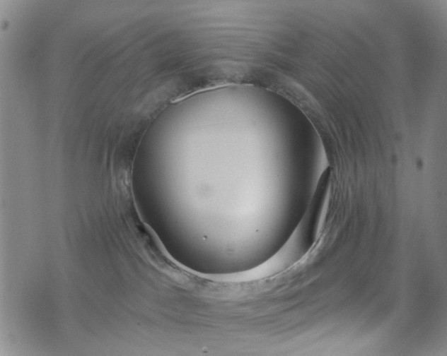 X0000076380045200610161126