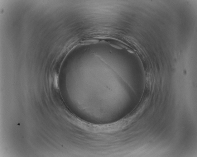 X0000076380046200610161126