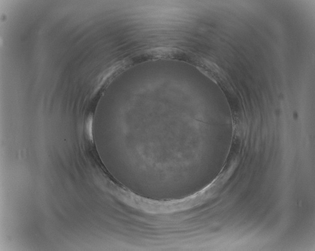 X0000076380047200610161126