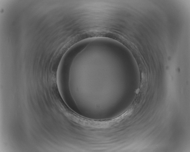 X0000076380048200610161126