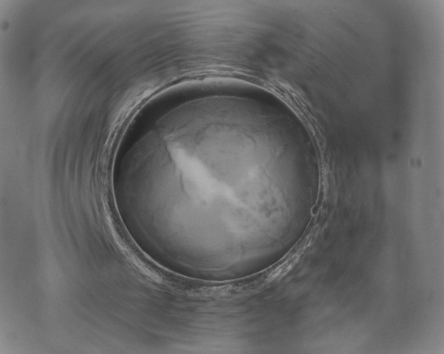 X0000076380049200610161125