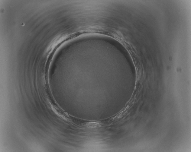 X0000076380050200610161125