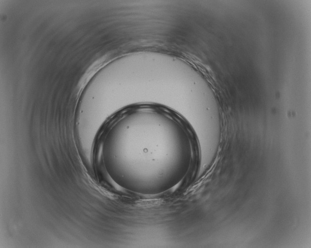 X0000076380051200610161125