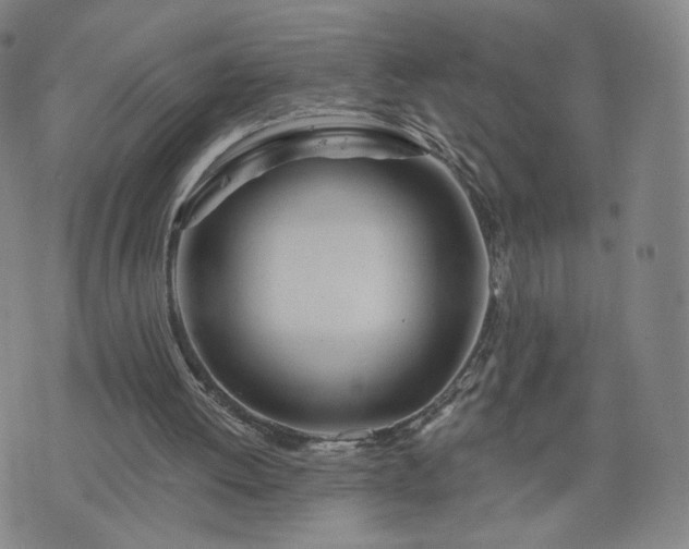 X0000076380052200610161125