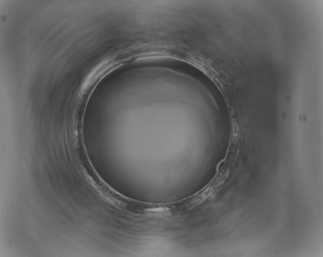 X0000076380053200610161125