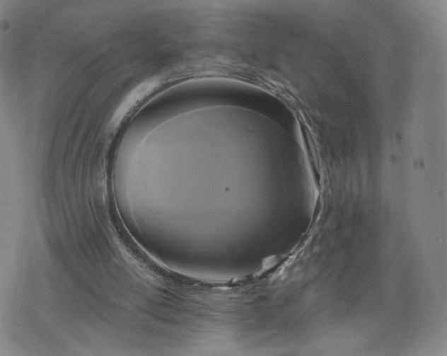 X0000076380054200610161125