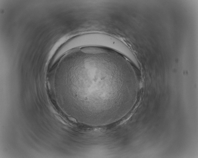 X0000076380056200610161125