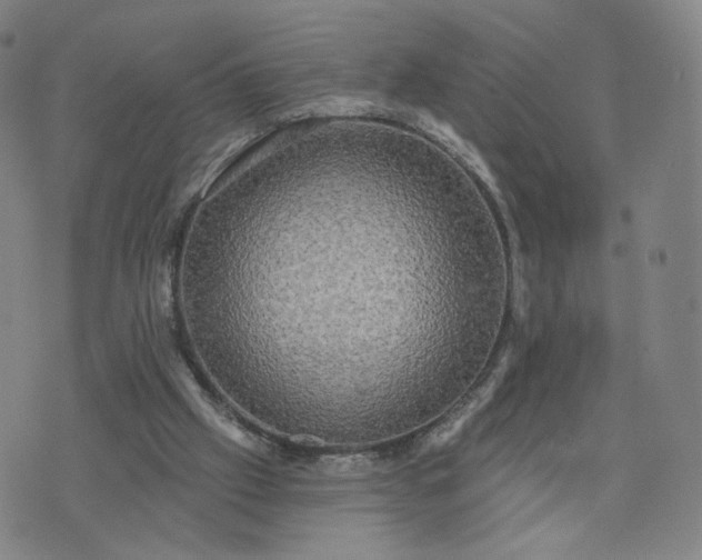 X0000076380057200610161125