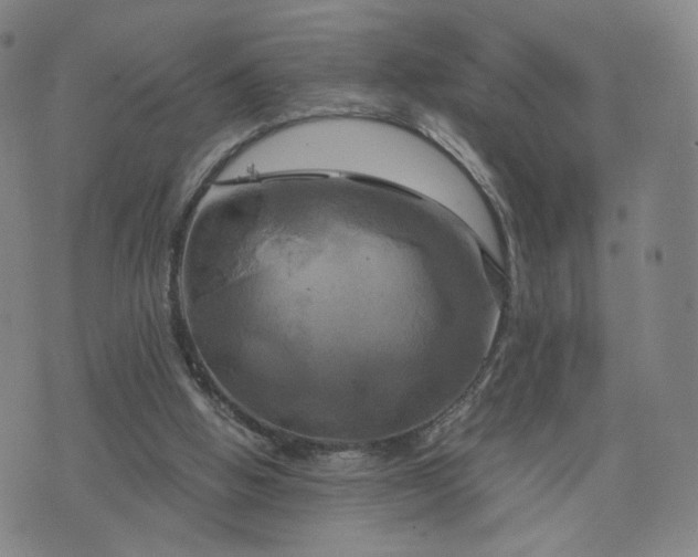 X0000076380058200610161125