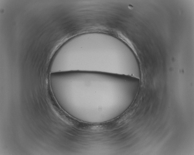 X0000076380059200610161125