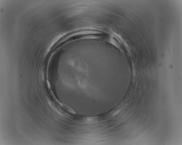 X0000076380060200610161125