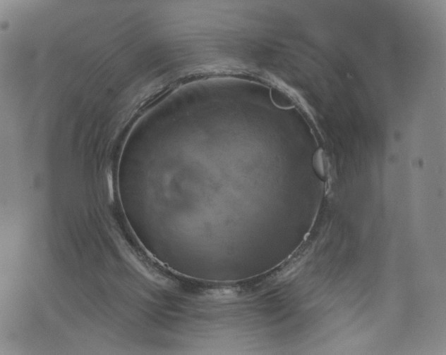 X0000076380061200610161125