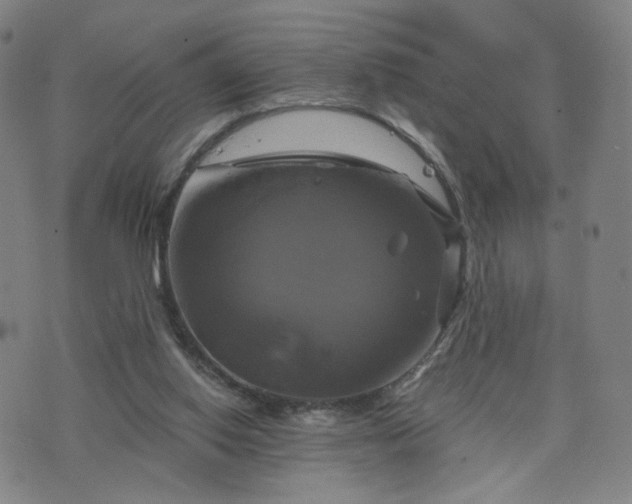 X0000076380062200610161125