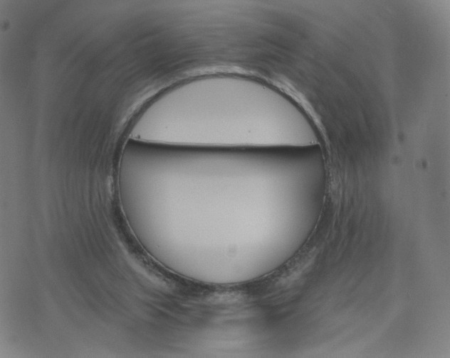 X0000076380063200610161125