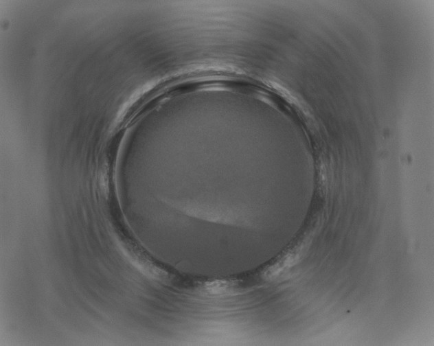 X0000076380064200610161125