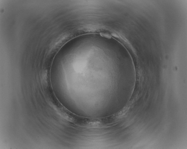 X0000076380066200610161125