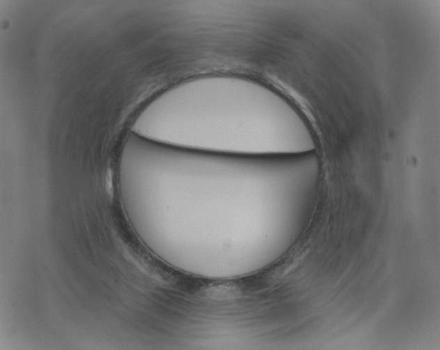 X0000076380067200610161125