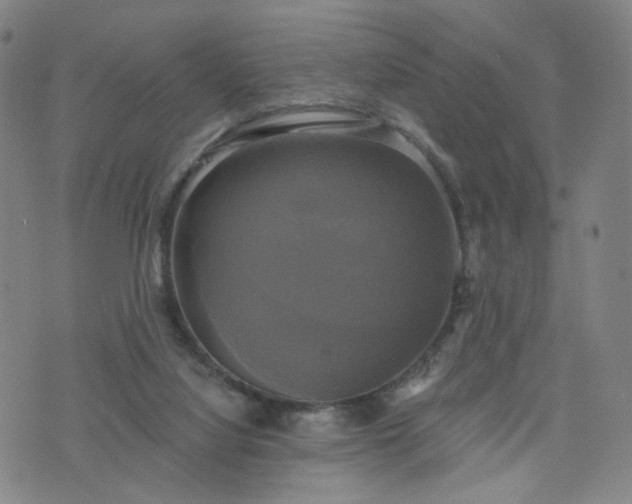 X0000076380068200610161125