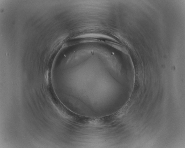 X0000076380070200610161125