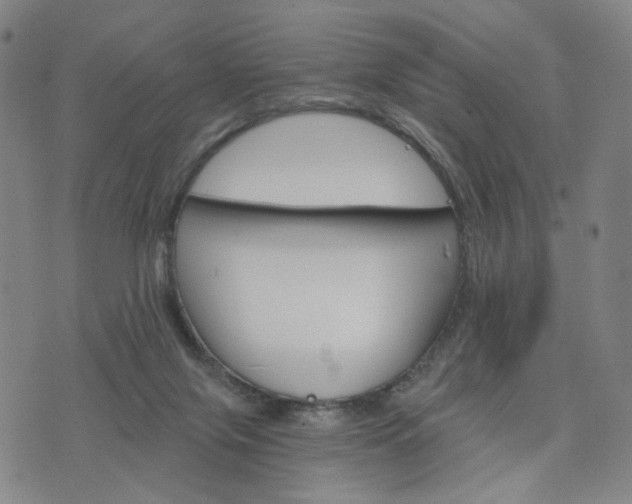 X0000076380071200610161125