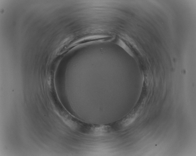 X0000076380072200610161126